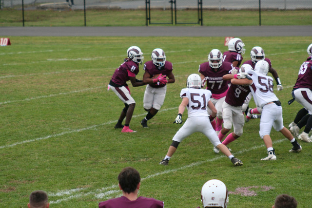 IMG-0347.jpg