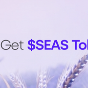 Seasons Gitbook Get $SEAS Token — How-To Hero PNG