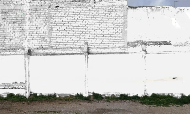 Graffiti artwork by panozzoo