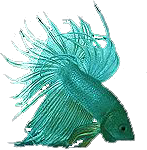 Element23.png
