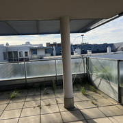 IMG-2638