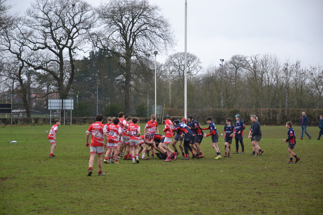 DSC 1500.jpg