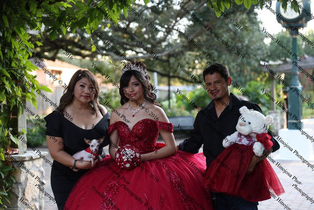 IMG 2469