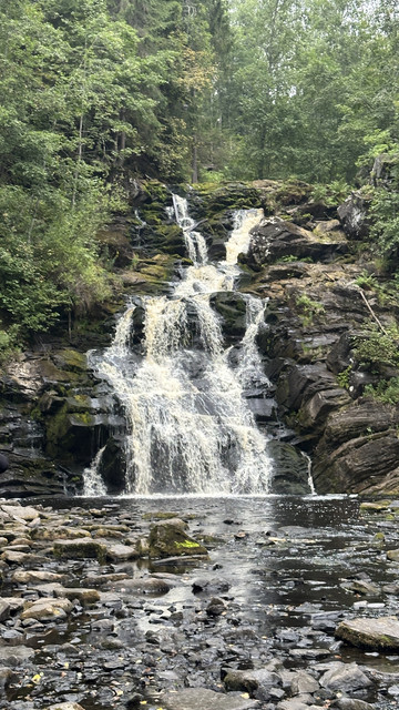 IMG 4451.jpg