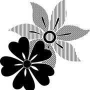 2a07fde3fc409704b90964d4c2826648