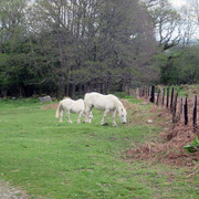 H Llanwrthwl