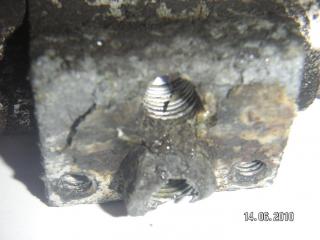 https://i.ibb.co/DPR6TWQr/30120-3.jpg
