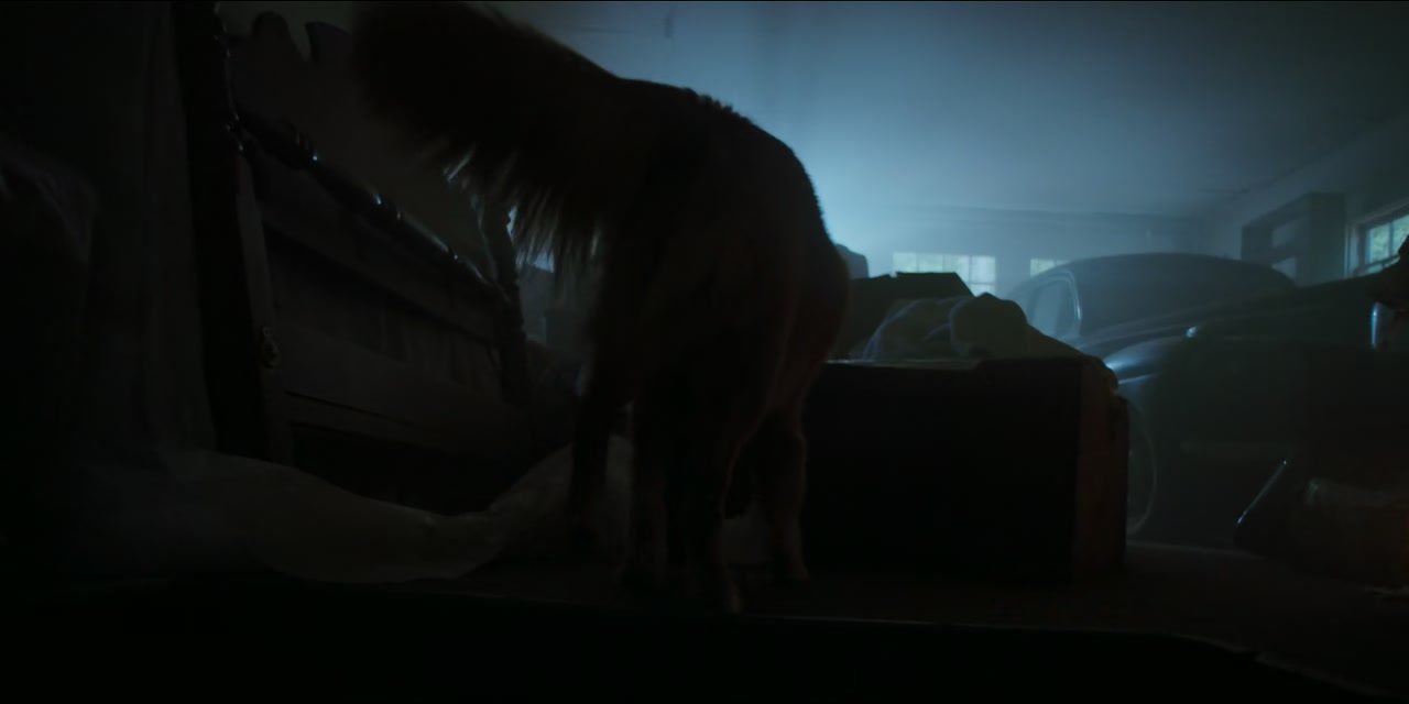 Good Boy Screenshot