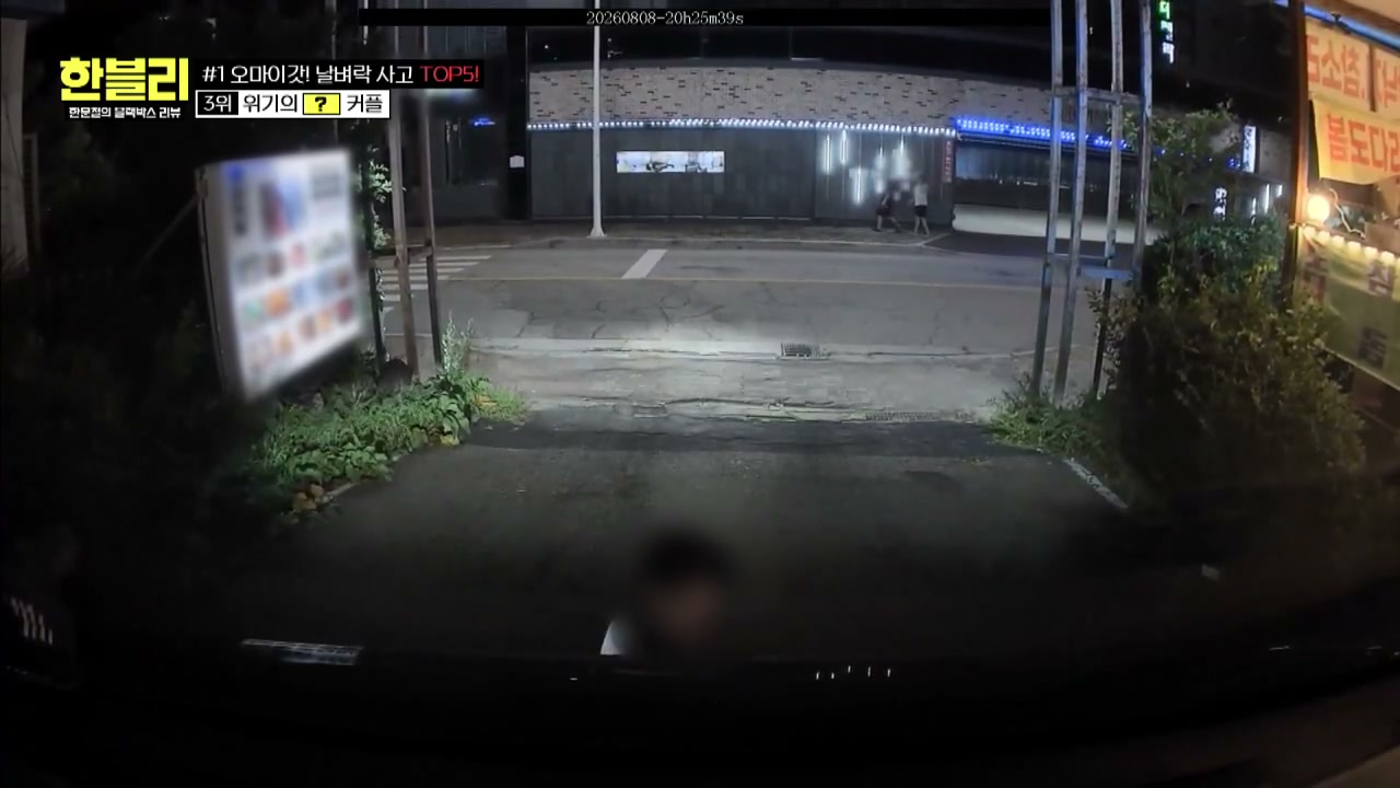 한블리 야간도로 만취커플 사고 추가 캡처 2