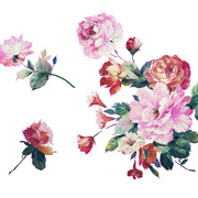 shutterstock 1836036049