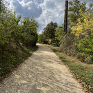 IMG 0351