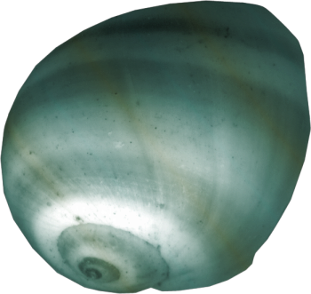 Element49.png