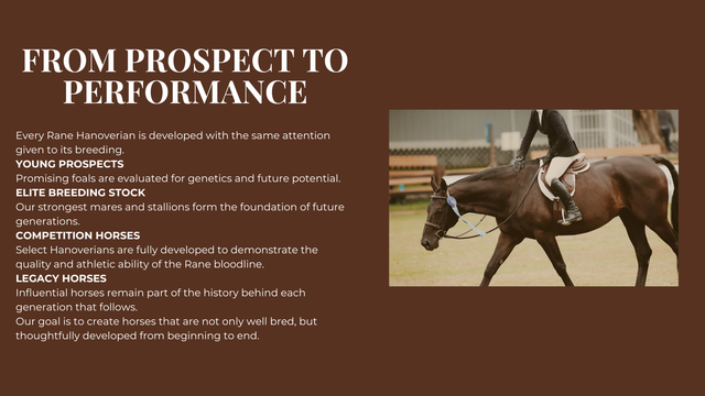 Horse-Rider-Club-6.png?utm_source=chatgpt.com