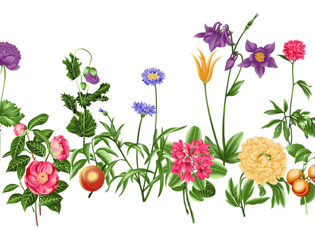 shutterstock 1987254749.jpg