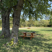 IMG 7988