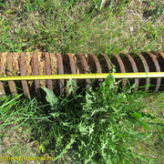 IMG-9587