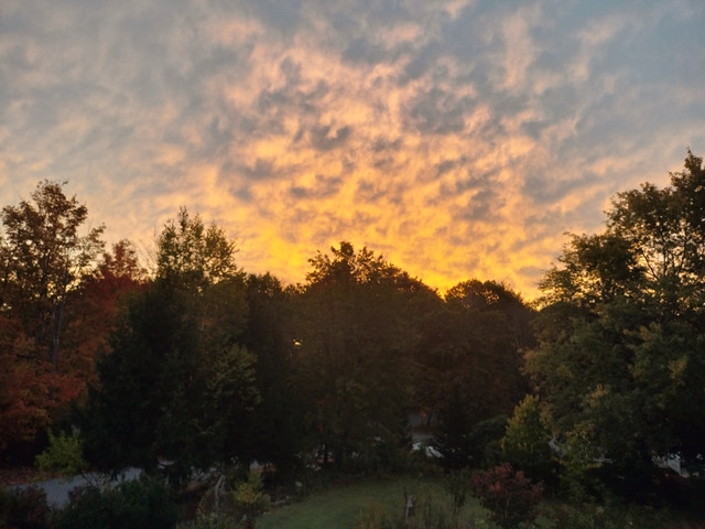 Sunup