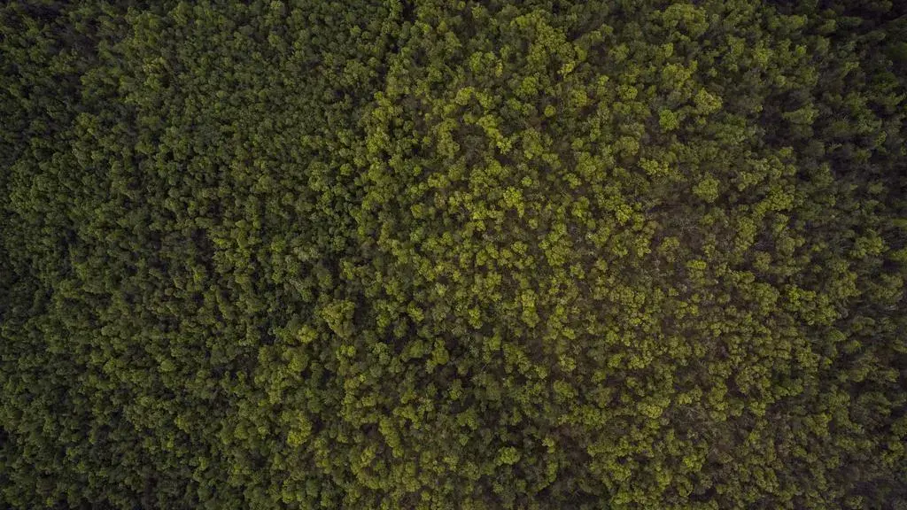 Cele mai bune picturi de frumusețe ale lunii