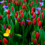 beesona d25cbfdc67ff043cb2355ce5c50f1006.gif