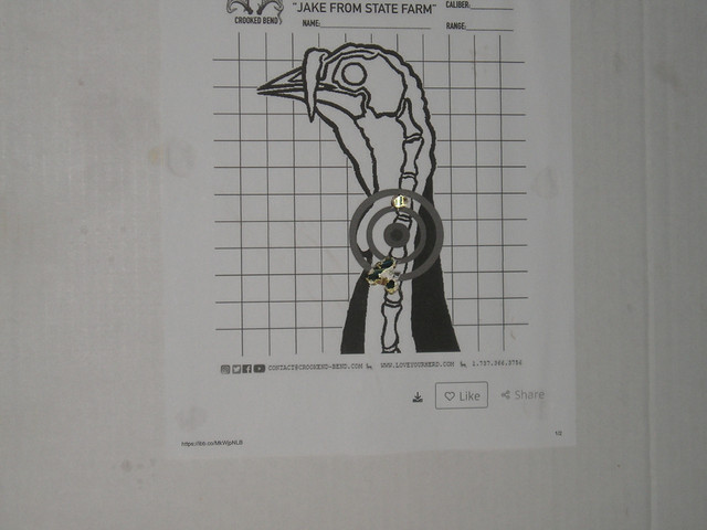 P1010017