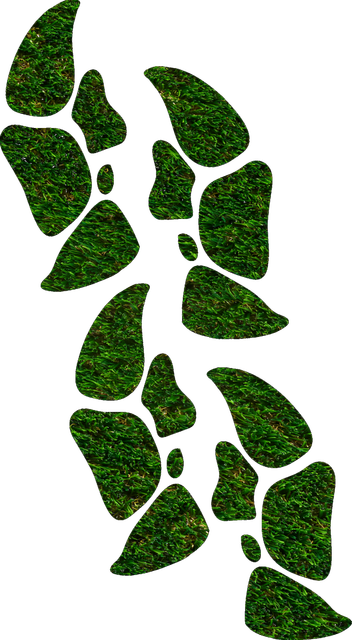 Pbl-P83o-Ps2t-E-1.png