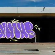 Graffiti artwork by danup