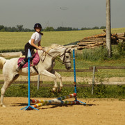 DSC03686