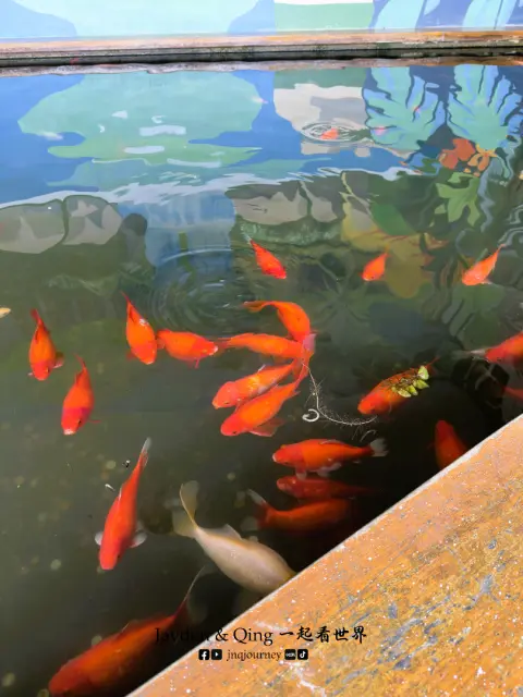 玉蜂谷蜜蜂园4