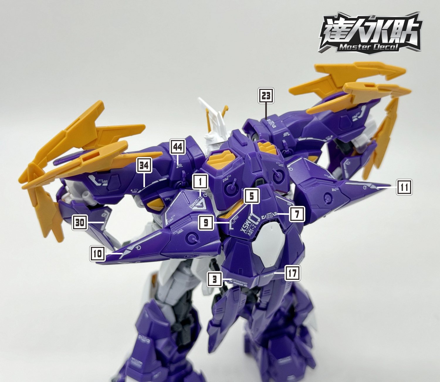 MD HG AESCULAPIUS 001