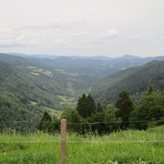 IMG 3635