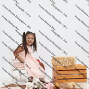 IMG 0936