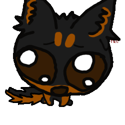 IMG 0202.gif