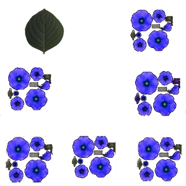 3e XU5Ey.png