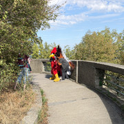 IMG 3969