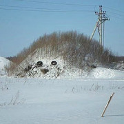 get-Image-3