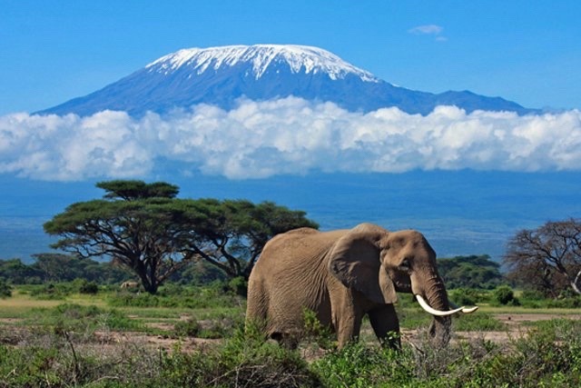 Kilimanjaro National Park