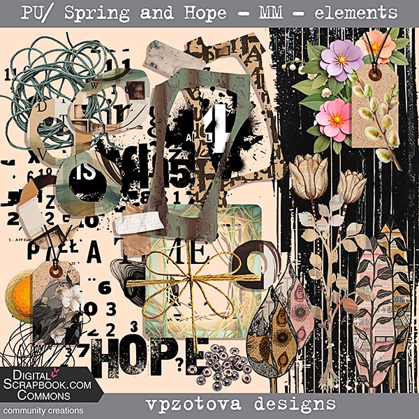 vpz MM Spring and Hope elementss PRV 600.jpg