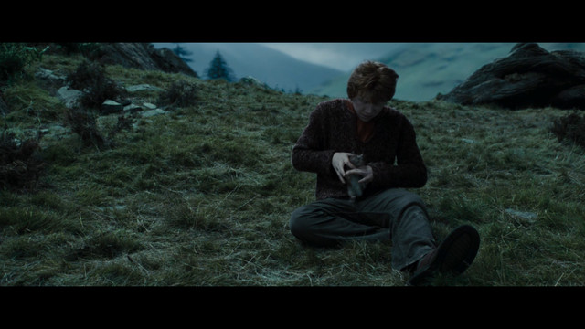 harry3.jpg