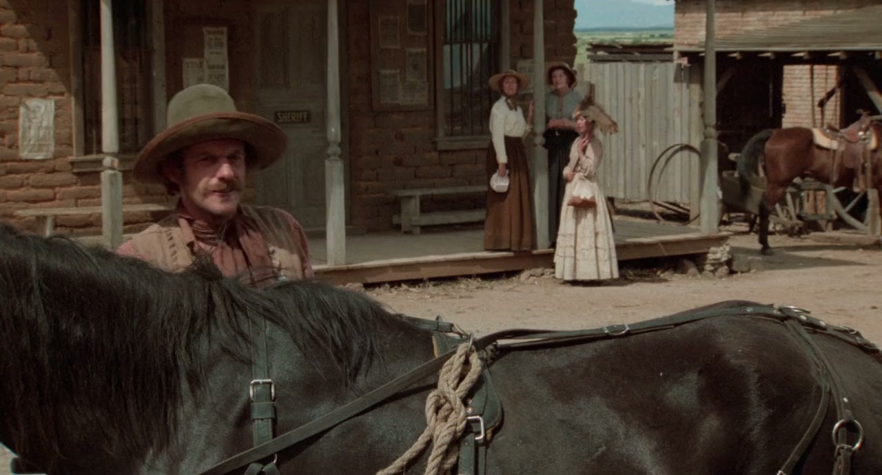 Goin' South Screenshot
