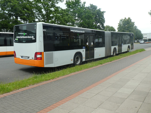 i.ibb.co/DPyzBVdV/Hartmann-2272-3.jpg