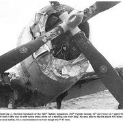 P-47-vs-trees