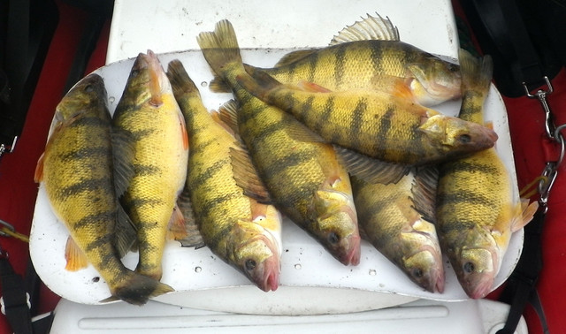 EIGHT-TO-BE-ATE