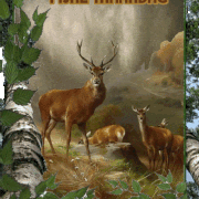 23.gif