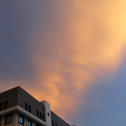 IMG-2650