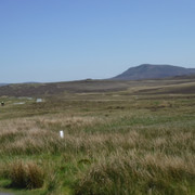DSCF7916