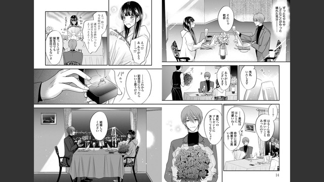 DLRAW-NET-009