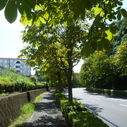 P1350282