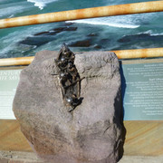 P1300006