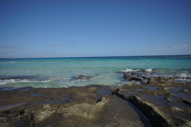 DSC01289.jpg