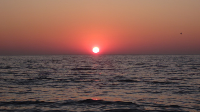 IMG-0726